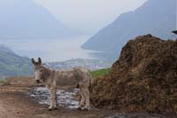 IMG_0945