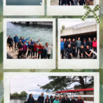 created by photogrid